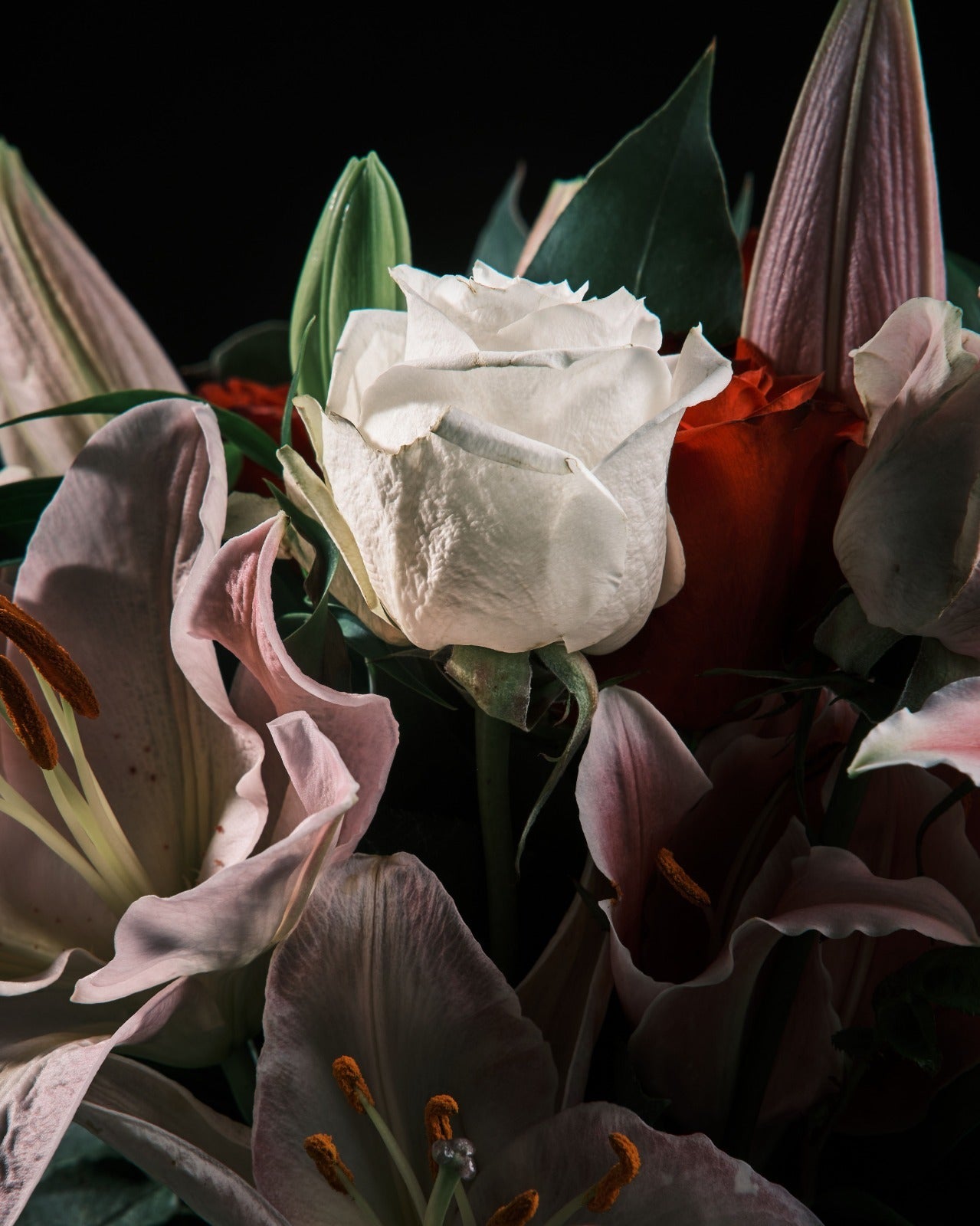 Rose vs Tulip vs Lily: Which Flower Is Best for a Romantic Gift?